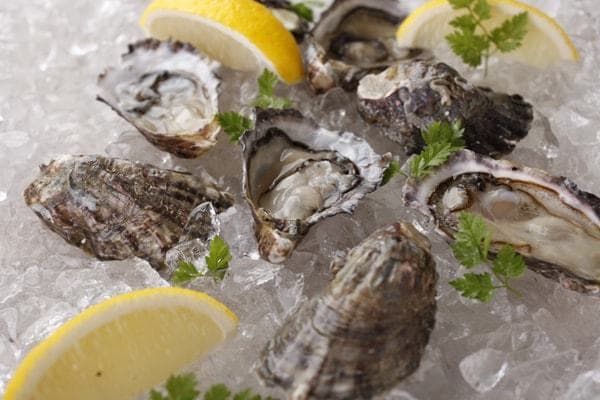 JR西日本が養殖したカキ(写真:西日本旅客鉄道)