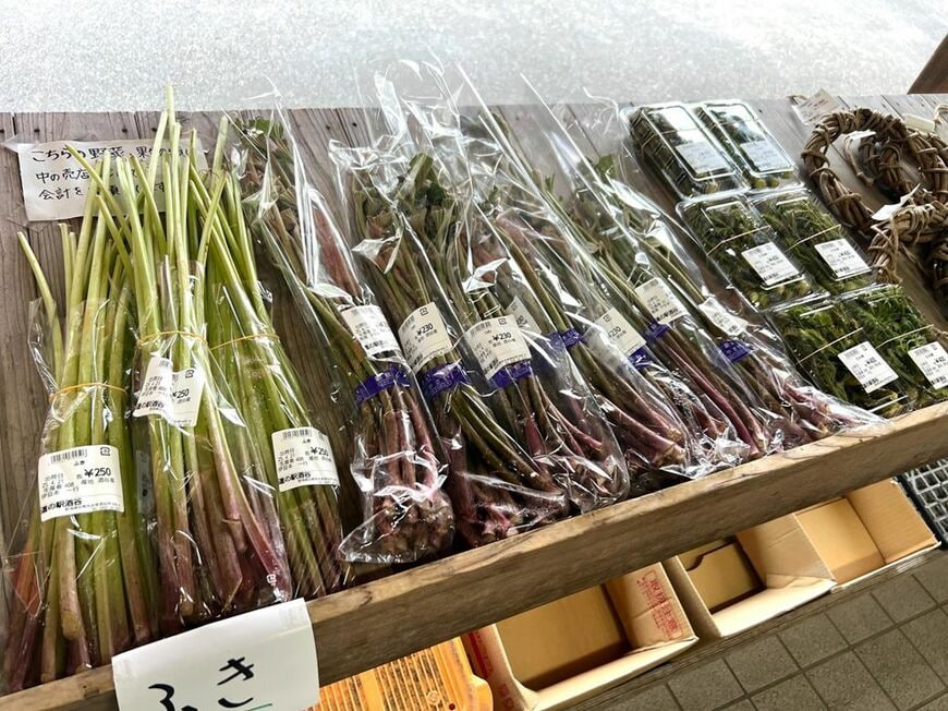 ふき、たらの芽などの春の味覚（筆者撮影）