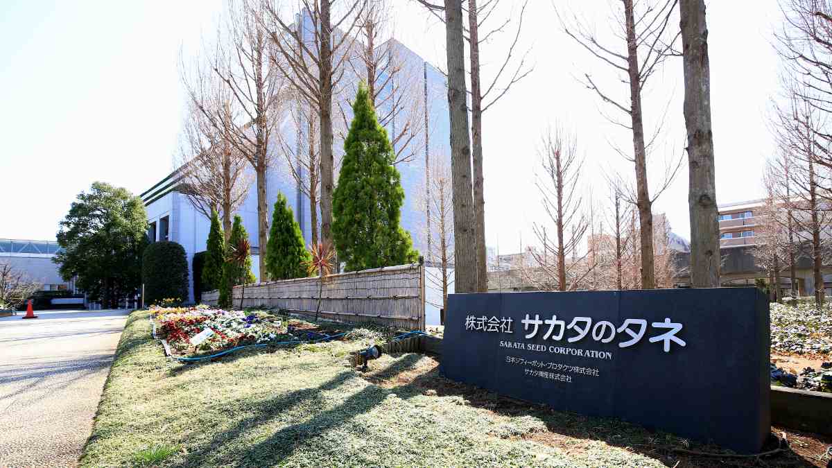 サカタのタネ､24年5月期の上期は期初計画｢未達｣で着地｜会社四季報オンライン