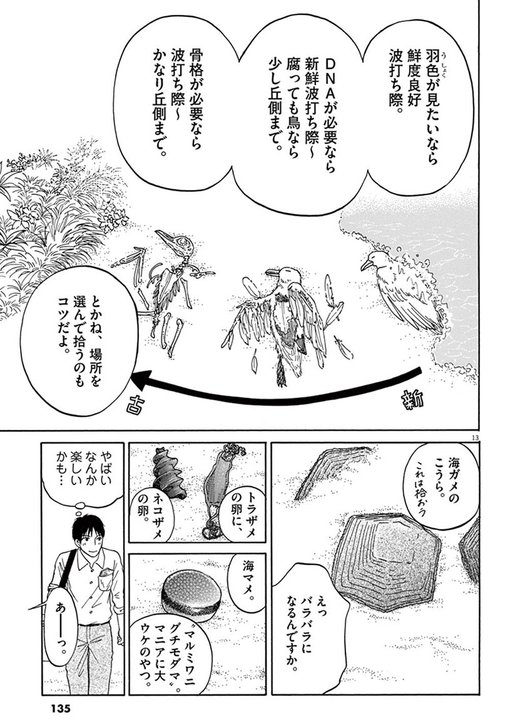 博物館員が台風の直後に 幻の生物 を探すワケ へんなものみっけ 東洋経済オンライン 経済ニュースの新基準