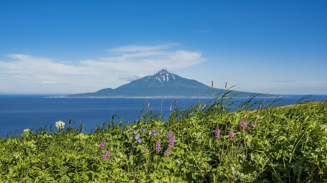 礼文島から望む利尻富士（写真：村中悟 / PIXTA）