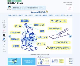せんせい市場