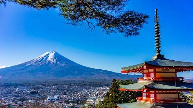 敗戦した日本軍の描写が今の日本と似る事の意味 歴史に学んで 敗戦した日本軍の描写が今の日本と似る事の意味 歴史に学んで
