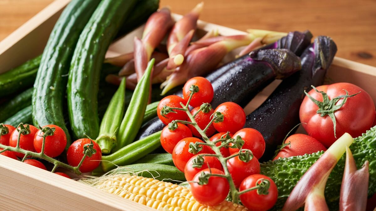 ふるさと納税9月末ポイント廃止に焦る人の盲点 | 家計・節約 | 東洋経済オンライン