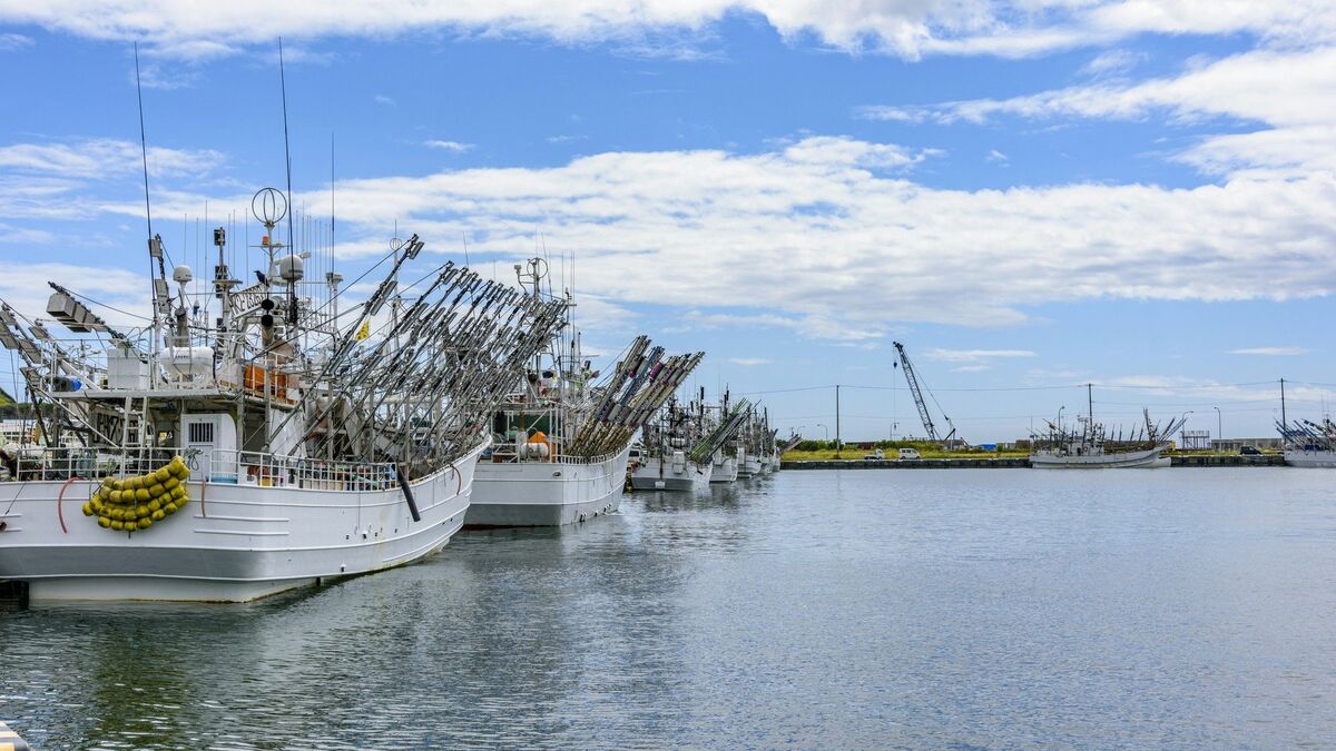 ロシア船来航に老中･松平定信が採った｢秘策｣ | 歴史 | 東洋経済オンライン