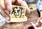  表向きは玉手箱。でも中を開けると……