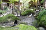 園内のニワトリはすべて寺谷さんが卵から孵化させたとのこと。自由奔放なニワトリたちを見つめるまなざしが優しかった（筆者撮影）