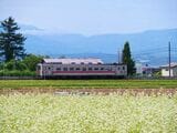 維持が困難となり一部廃線となったJR北海道の留萌本線（写真：緋色 / PIXTA）