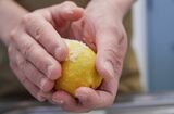 レモンの果皮を塩でゴシゴシ……（写真／吉澤健太）