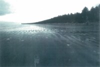 いま､｢物語に基づく医療｣が問われている 海と医学､関係なさそうで大いに関係あり