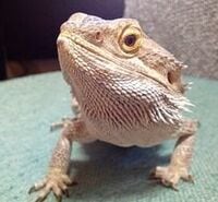 あなたにも出来る！社労士合格体験記（第59回）--「賃金」「報酬」の概念に注意しよう