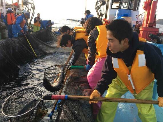 中高生たちが網で魚をすくっている様子