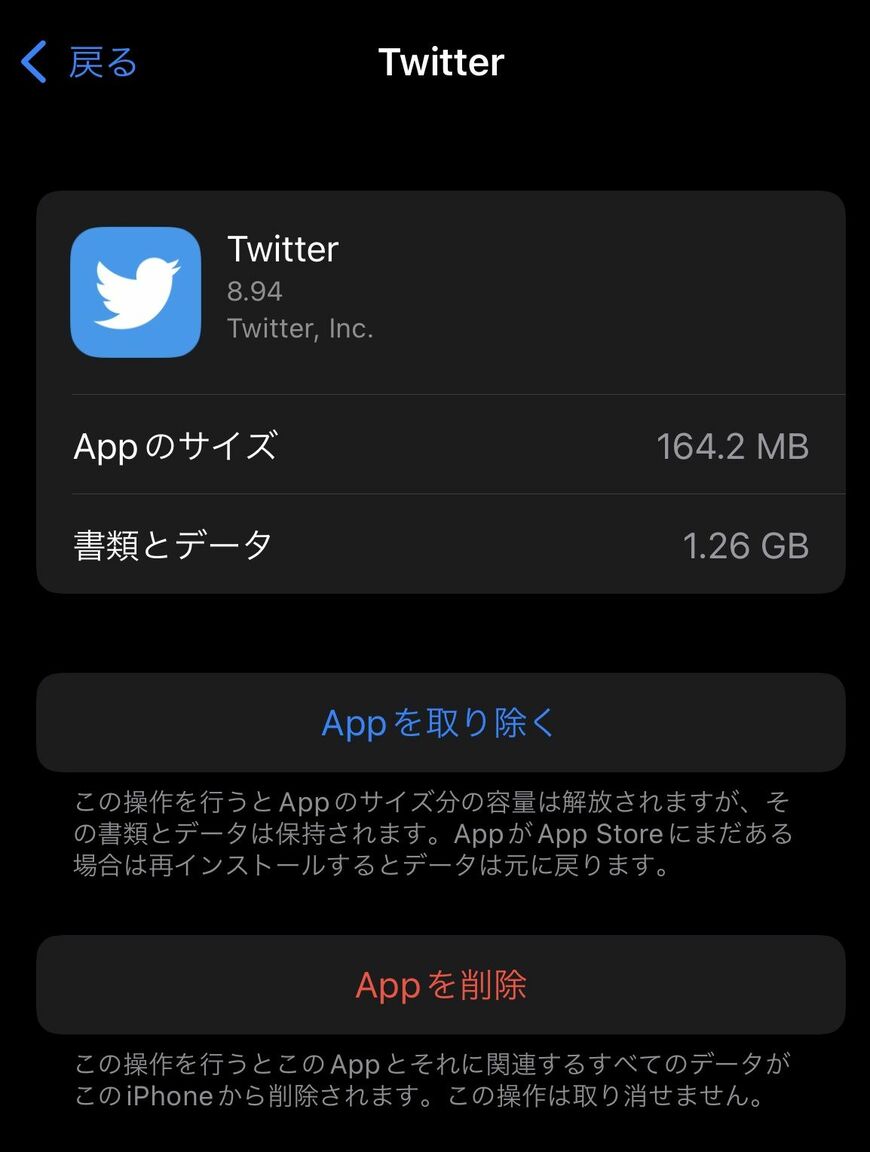 アプリによっては、「書類とデータ」のほうがサイズが大きくなっていることがある（筆者撮影）