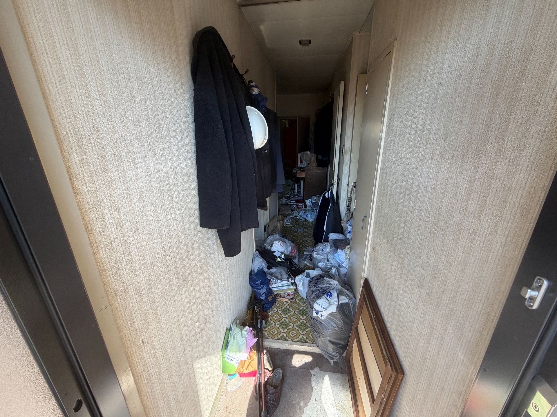 画像 | ｢亡き姉の写真が大量に…｣ キッチンのゴミ山で眠る80代の認知症