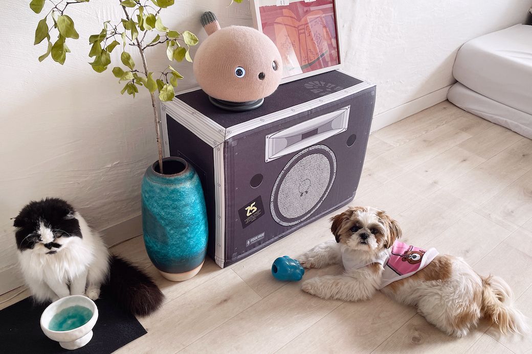 愛猫モコおばあさんと、日本聴導犬協会の候補犬はくちゃん（9カ月）。最近は「ニコボ」というロボットも加わりました（筆者撮影）