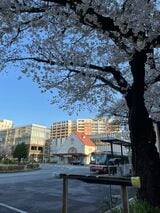 『謎解きはディナーのあとで』の舞台地・東京国立。国立駅前には、「三角屋根」が特徴的な「旧国立駅舎」が建っています（筆者撮影）