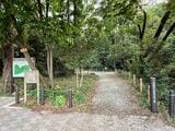 市野谷の森東近隣公園は、2023年に整備を終えている（筆者撮影）