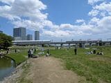 河川敷