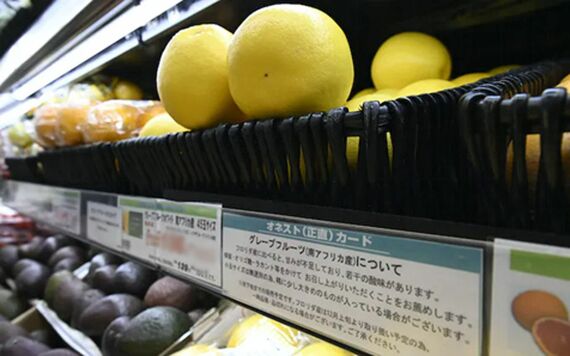 オーケーのオネストカード