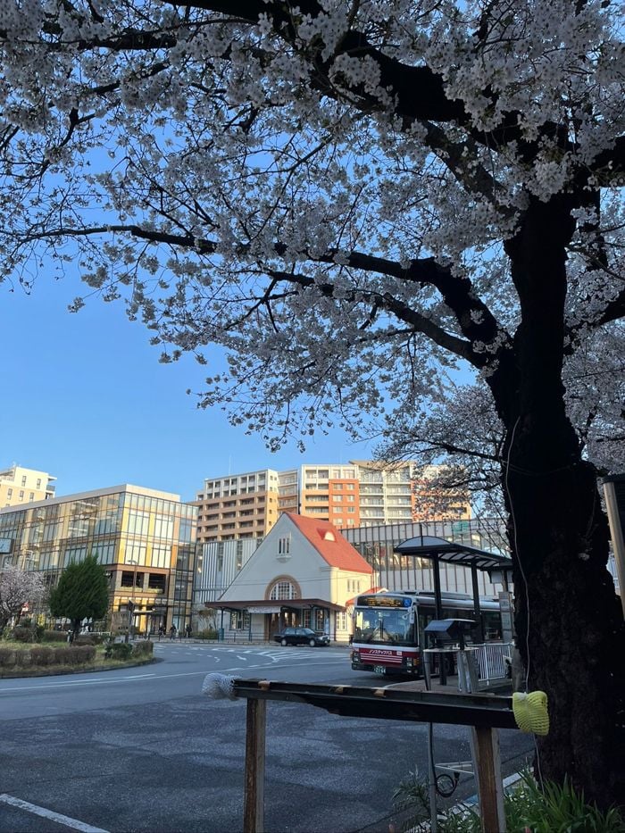 『謎解きはディナーのあとで』の舞台地・東京国立。国立駅前には、「三角屋根」が特徴的な「旧国立駅舎」が建っています（筆者撮影）