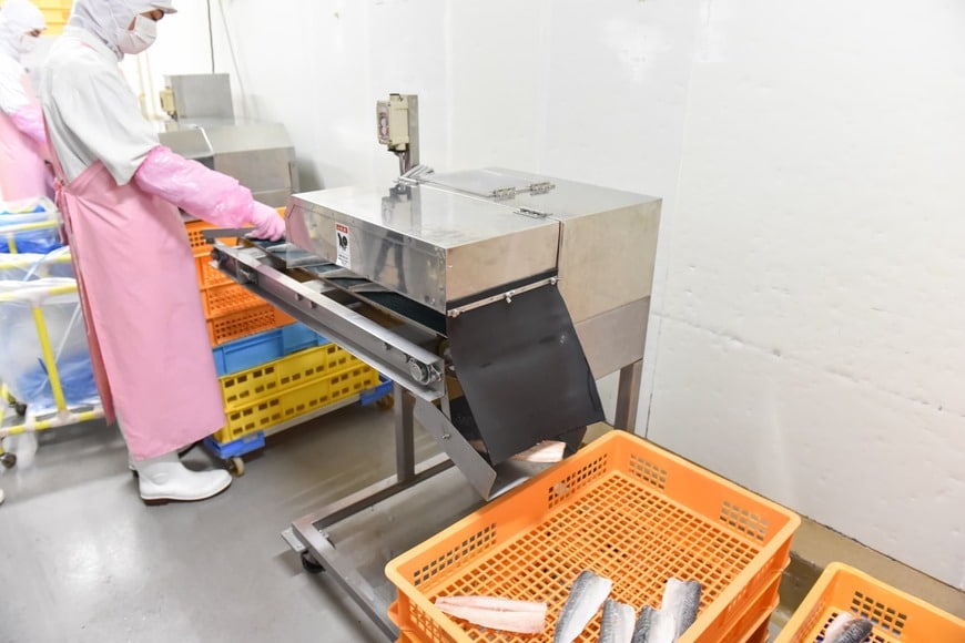 皮目に細かな切れ目を入れる機械（写真：大澤誠）