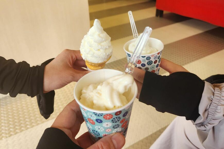 豆腐、わさび、塩ミルクソフト（写真：筆者撮影）