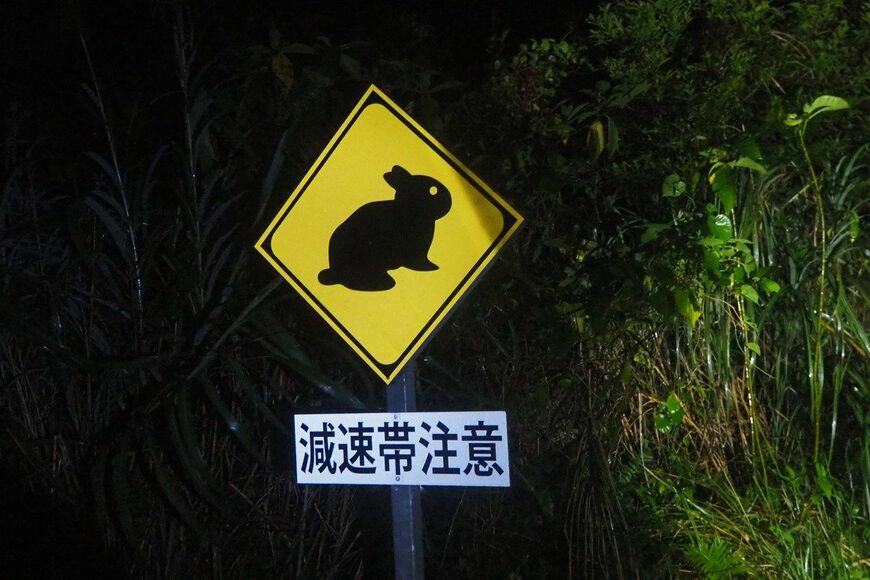 動物注意の標識（写真：佐滝剛弘）