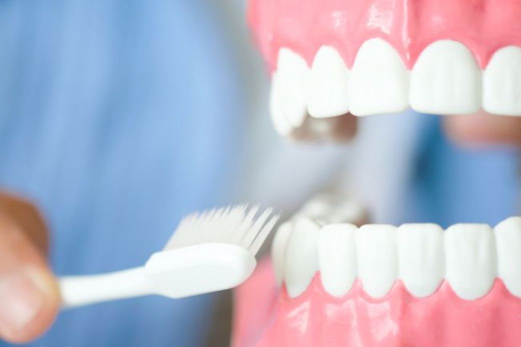 花粉症にダチョウ抗体マスクが効く納得の理由 幻冬舎plus 東洋経済オンライン 経済ニュースの新基準