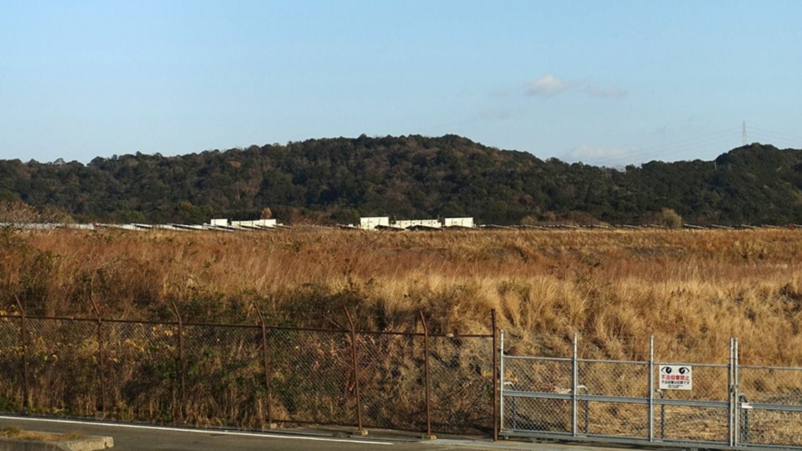 草が伸び放題の広大な空き地