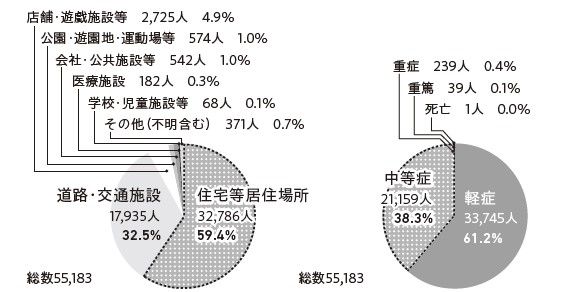 （左）高齢者の「ころぶ」事故の発生場所（右）高齢者の「ころぶ」事故の程度別救急搬送人員／出典：「令和2年＜2020年＞救急搬送データから見る日常生活事故の実態（東京消防庁）／「おひとりさま最後の片づけ」P43 より引用