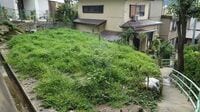 ｢所有者不明土地｣が増え続ける理由 »»Part2地方｜疲弊する街で土地が捨てられる
