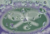 プロテニス界で大規模な八百長が横行か 四大大会覇者も関与と英BBCなどが報道