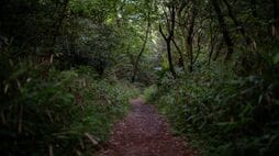 ｢15時過ぎたらもう暗い…｣秋冬の低山で"行動遅れ"が招く遭難 山に入るなら｢せめてこれだけは｣の必須装備とは
