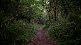 ｢15時過ぎたらもう暗い…｣秋冬の低山で"行動遅れ"が招く遭難 山に入るなら｢せめてこれだけは｣の必須装備とは