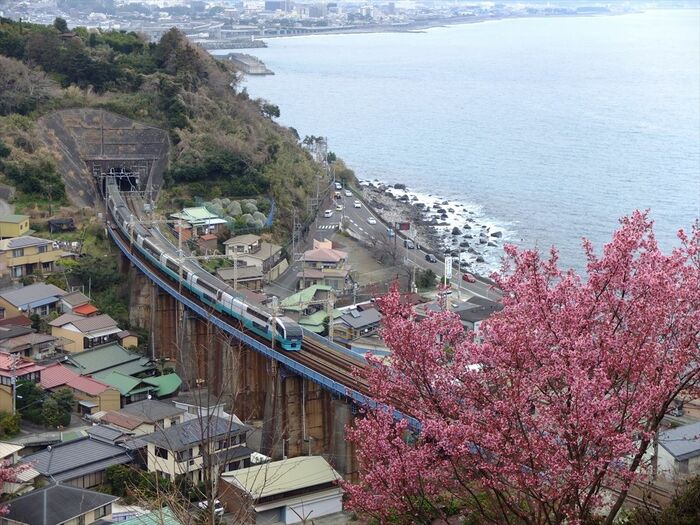 東海道線を走る「スーパービュー踊り子」