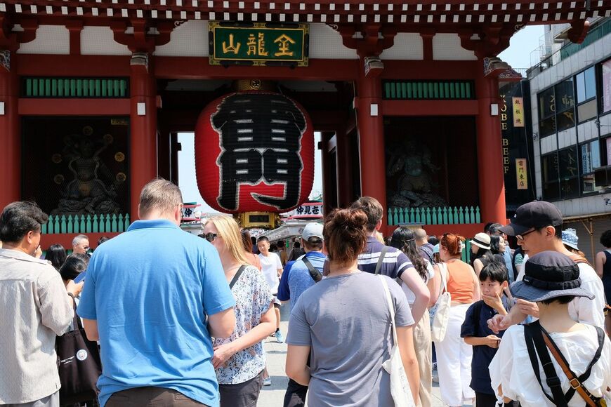 フランスや韓国で大量発生したトコジラミ。日本でも増加している（写真：記者撮影）