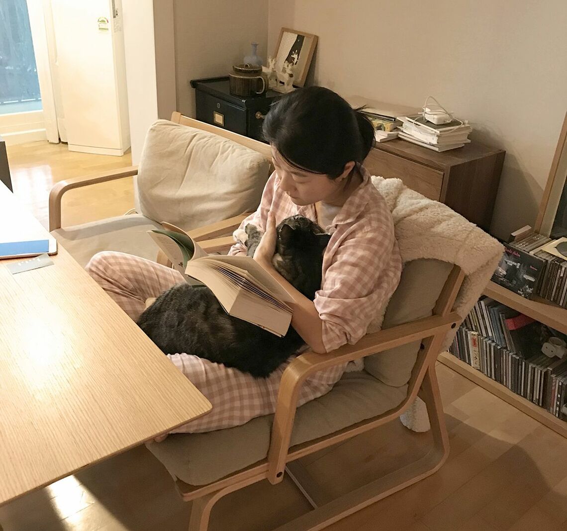 ネコとの暮らし