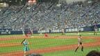 オリックスとロッテのチアのコラボ