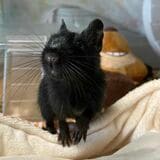 （写真：みきさん）