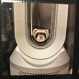 （写真提供：ミキさん）