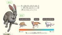 ウサギの耳はなぜ長い？動物人間で見るその凄さ ｢環境に合わせて変化していく力｣に学ぶ