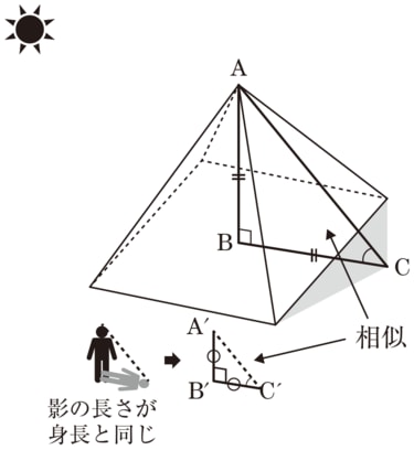 数学嫌いに伝えたい｢sin｣｢cos｣が社会で役立つ訳 実生活のさまざまな