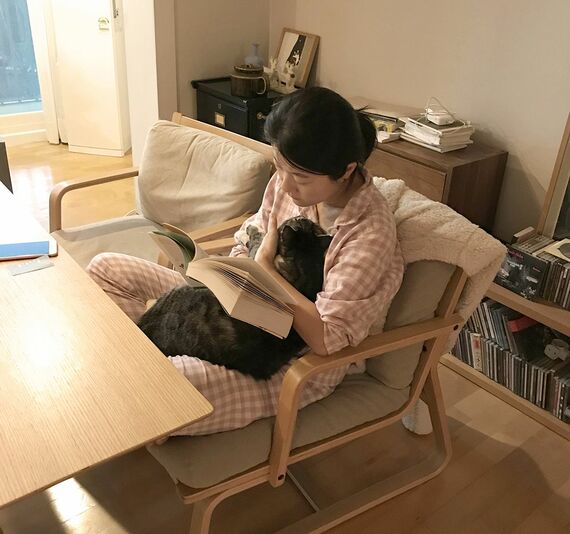 ネコとの暮らし