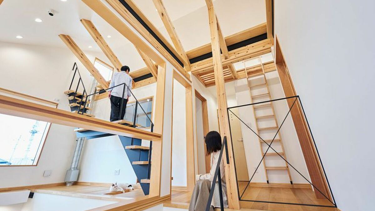 愛猫4匹のために30代共働き夫婦が4800万で建てた 7m吹き抜けを猫が立体回遊！"猫専用ジャングルジム"のような注文住宅 | ライフ | 東洋経済オンライン