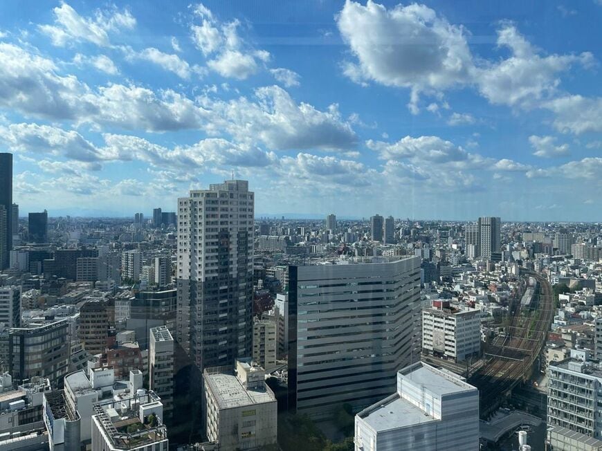 東京上空から見たとある風景。都会VS地方論争の行き着く先は……？（写真：筆者提供）