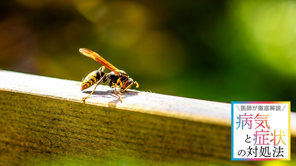 蜂刺されによるアナフィラキシーショックに気をつけたい（写真：minianne／PIXTA）