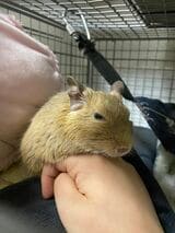 （写真：みきさん）