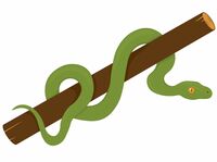 ｢鼻が反り返った小さなヘビ｣が急死した本当の訳 誤った飼い方で死んでしまうケースはよくある