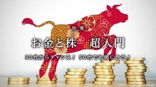 お金と株　超入門 30代からチャンス！ 50代でも間に合う！
