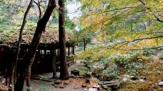 山奥の森を開拓｢ジブリの世界｣作った男の半生